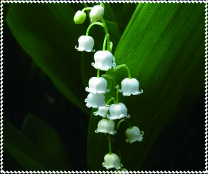 Салфетка для ухода за очками с принтом, материал микрофибра в индивидуальной упаковке ЛАНДЫШ, 17,5 *14,5 см