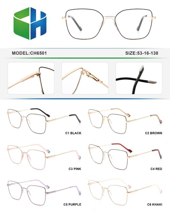 Оправа металлическая с флексом CH6501-DA