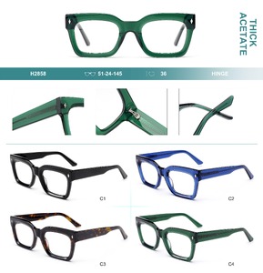 Plastic frames for glasses, thick acetate Big City H2858