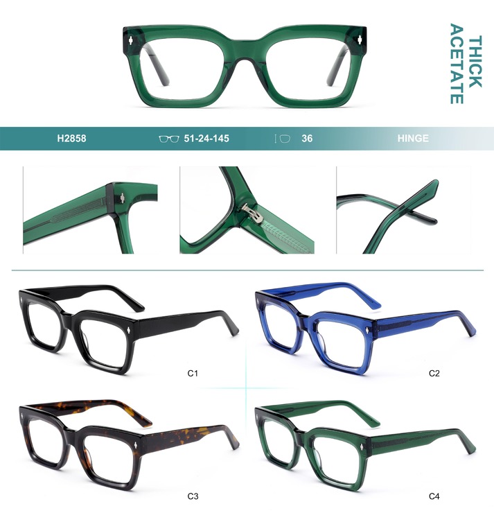 Plastic frames for glasses, thick acetate Big City H2858