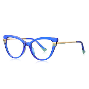 Plastic TR90 frames for glasses with Blue Ray Cut protection and flex hinges FOCUS FCS2113