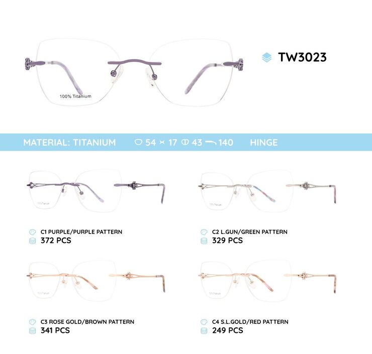 Titanium metal rimless frame TW3023
