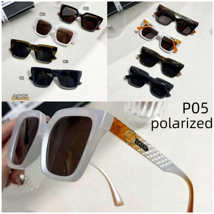 Polarized metal + TR90 sunglasses P05KY 2975