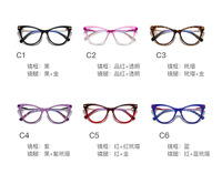 Plastic frames for glasses TR90+CA material (flex hinges) FOCUS FCS2109