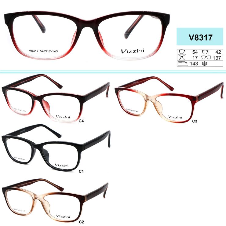Plastic frames for glasses VIZZINI V8317