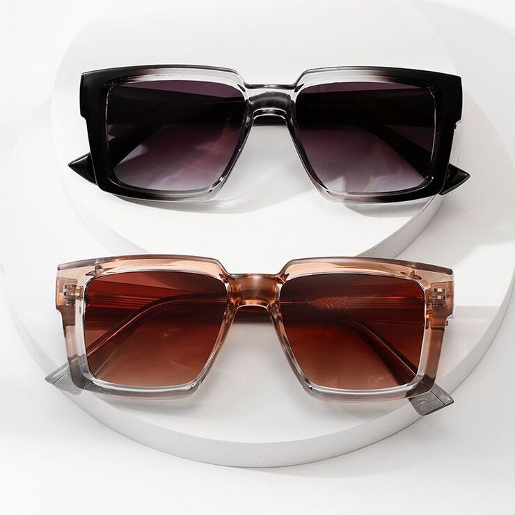 Plastic + metal square sunglasses for men Elit 3201-EL