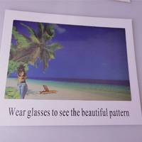 Карта для определения поляризации в очках 002, 15*10 см