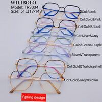 Metal + TR90 ultrathin women's frames with spring hinges Wilibolo TR3034