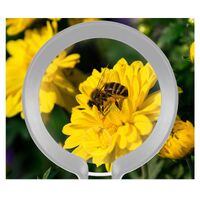 Лупа, увеличительное стекло с ручкой 9002-XX, диаметр: 90 мм, увеличение: 5Х, 10X