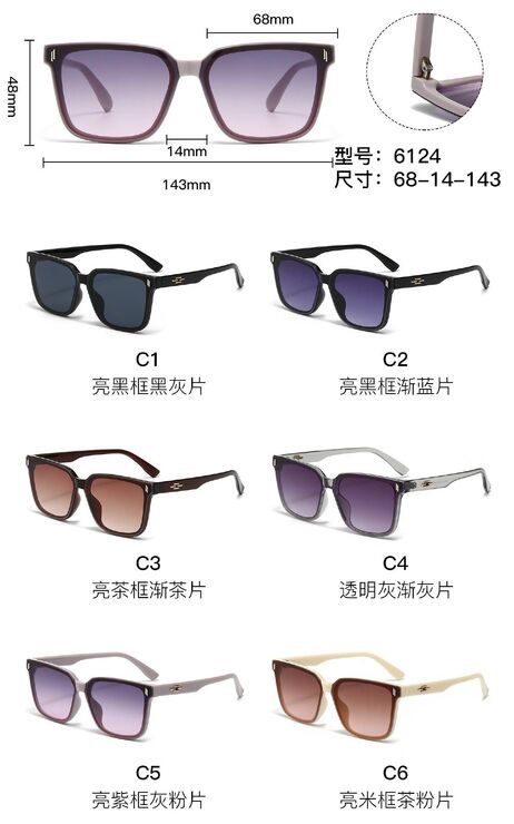 PC plastic sunglasses with metal hinge 6124W