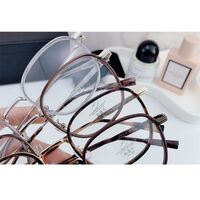 Оправа гибридная, металл + TR90, линзы с Blue Block покрытием SANTA 01213