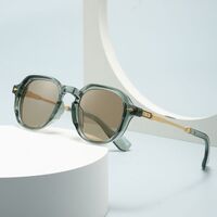 Plastic + metal retro sunglasses Elit 6068-EL
