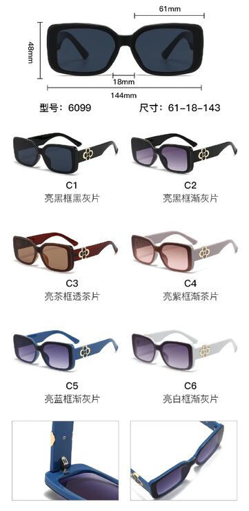 PC plastic sunglasses with metal hinge 6099W