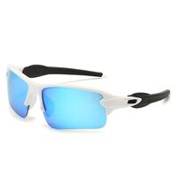 Polarized plastic sunglasses with UV400 protection 2975-GT