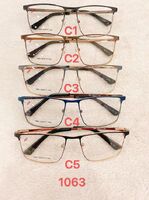 Metal frame for glasses with spring hinges Defile D1063