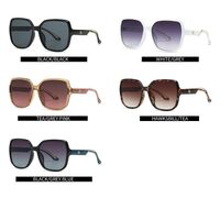 Plastic + metal square sunglasses Elit 9176-EL