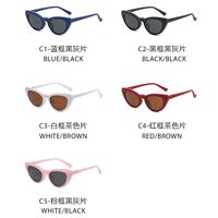 Оправа пластиковая с флексом + поляризационная солнцезащитная насадка (клипон) на магните El Dorado EL2351D