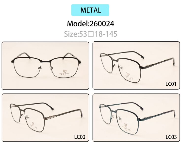 Metal eyeglasses frame for men with spring hinges 260024 (item in stock)