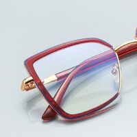 Metal + TR90 plastic Blue Blocker glasses frame for women with UV and blue light protection lenses More FCS3155