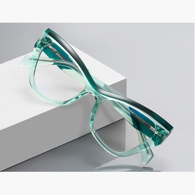 Оправа пластиковая из материала TR90 с защитой от синего света FOCUS FCS2198