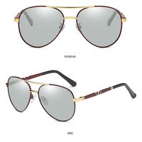 Очки металлические фотохромные с защитой от синего света 2813-GT