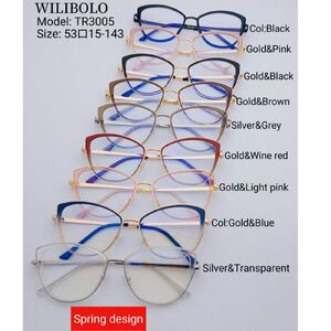 Metal +TR90 ultrathin frames with flex hinges Wilibolo TR3005