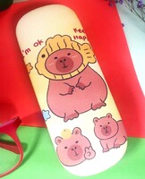 Футляр для очков W2419