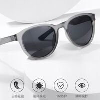 Пластиковые поляризационные мужские солнцезащитные очки в круглой оправе Elit 23G17-EL