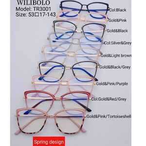 Metal +TR90 ultrathin frames with flex hinges Wilibolo TR3001
