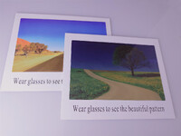 Карта для определения поляризации в очках 002, 15*10 см
