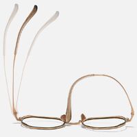 Оправа металлическая из чистого титана SANTA TB22202