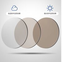 Очки металлические фотохромные с защитой от синего света 9678-GT