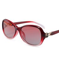 Поляризационные солнцезащитные пластиковые очки с защитой UV400 2214-GT