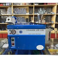 Парогенератор - паровая машина портативная для очистки очков LSE-6G, LSE-12G, объём - 6/12 л