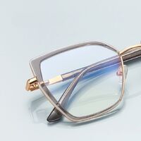 Metal + TR90 plastic Blue Blocker glasses frame for women with UV and blue light protection lenses More FCS3154