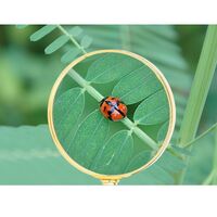 Лупа, увеличительное стекло с ручкой 双玉52红色-XX-1, диаметр: 52 мм, увеличение: 10Х